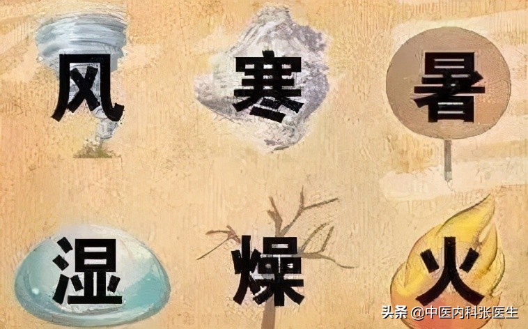 五“毒”月，避“六”邪，排“七”毒，让你一年安康