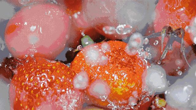 尝一口甜酸奶,尝一口酸奶