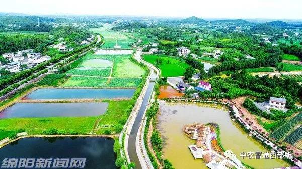 四川乡村振兴有哪些镇,绵阳乡村振兴重点县有哪些
