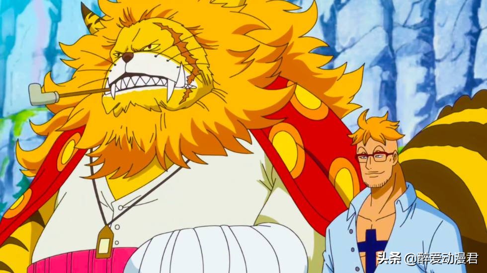 海贼王952集凯多大战大妈,海贼王986话猫蝮蛇去哪了