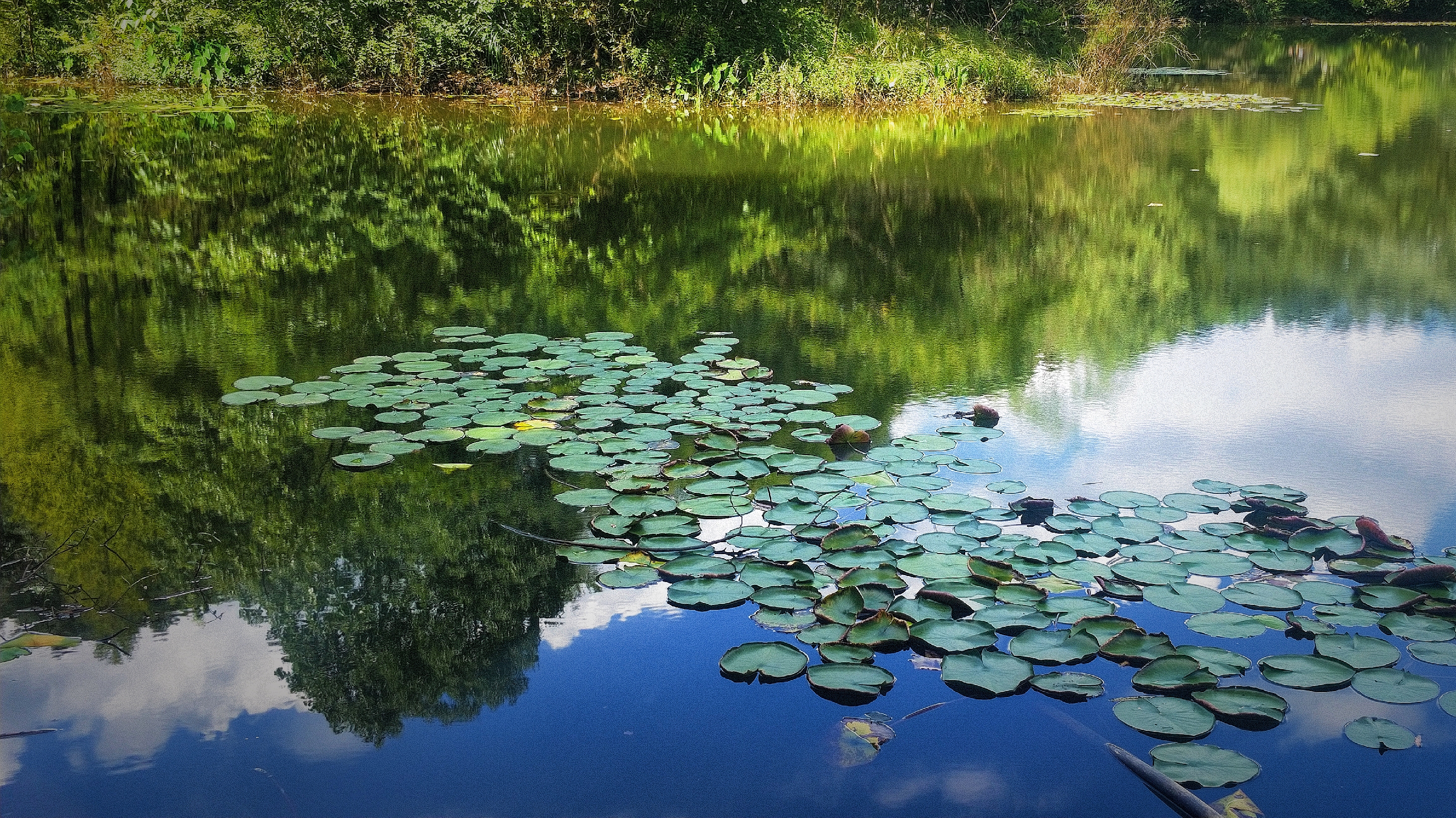 南岳72峰白云峰,南岳72峰之一聚湖峰