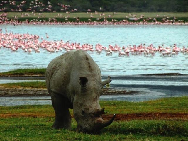 风景最美的国家公园,中国最靓的公园