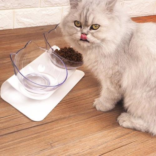 金渐层猫咪只喝水不吃粮怎么回事,猫咪之前爱喝水突然就不爱喝水了