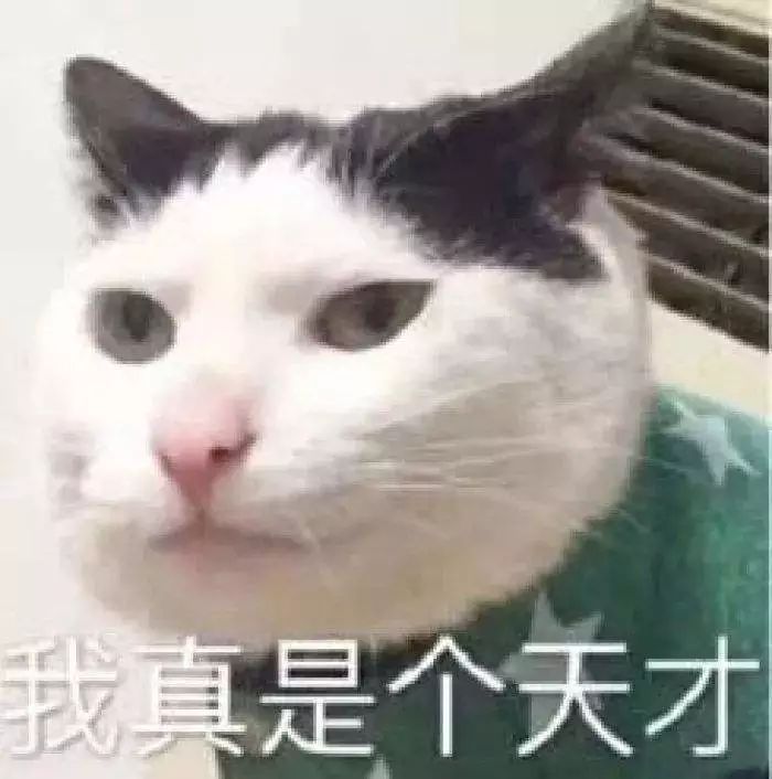 现在出境游还需要领队证吗,如何办理出境旅游领队证