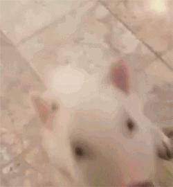 女性私密处健康，你需要知道的小秘密...