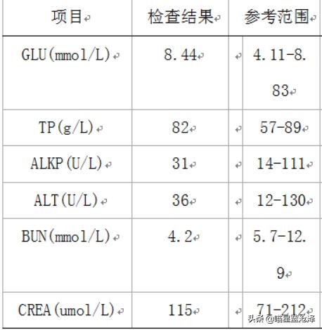 幼猫得了猫瘟还有救吗,幼猫猫瘟如果不治应该怎么处理