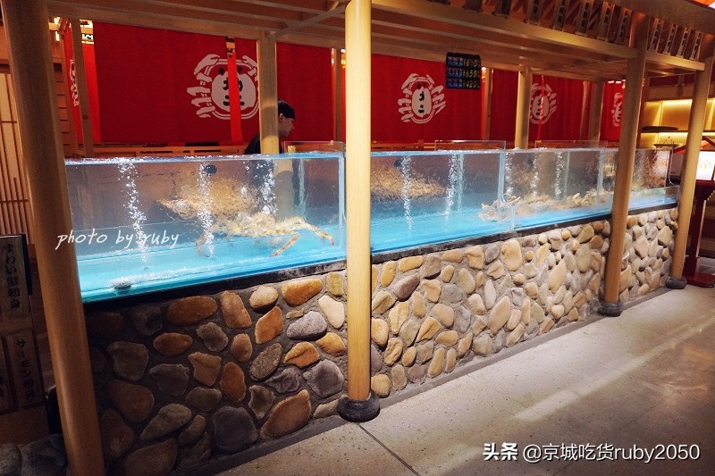 正宗日本蟹料理,上海蟹道日本料理