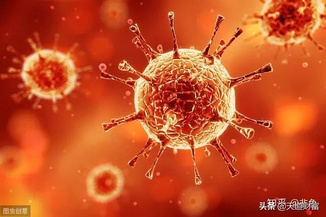 潜力股10个强劲的个股名单收藏,具有发展潜力的行业及个股