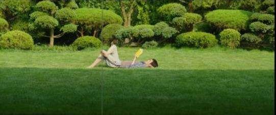 寄生虫影片ppt,寄生虫影片