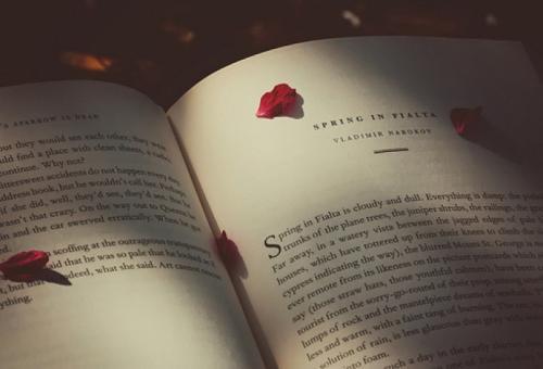 十五岁的儿子被同桌“摸了一把”，问我是取向问题还是因为青春？