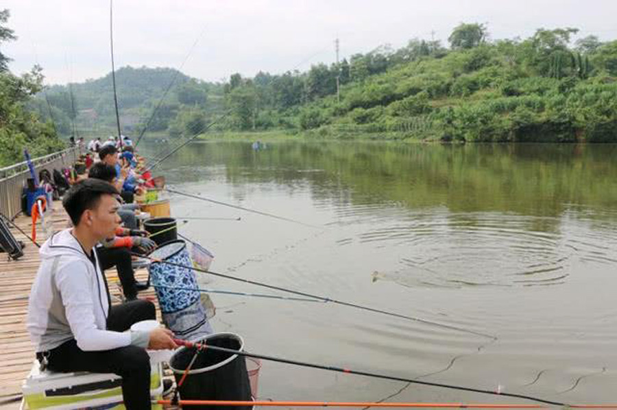 为什么黑坑禁用红虫,为什么很多黑坑禁红虫