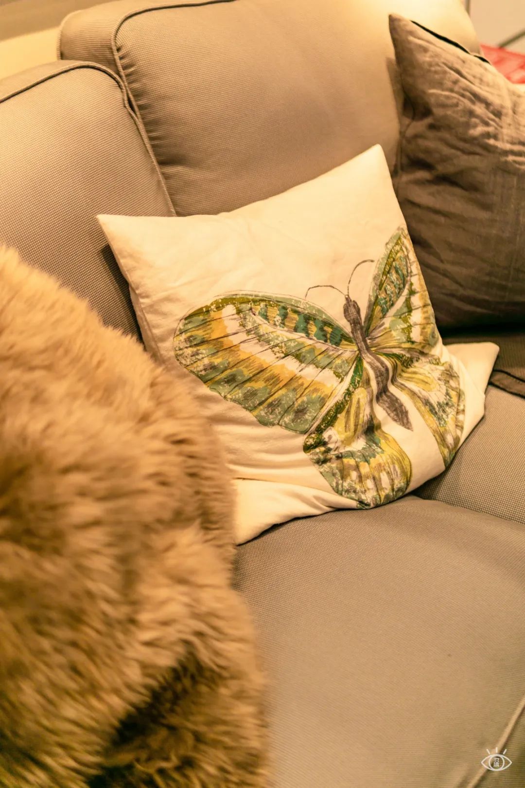 南海宜家快闪,南宁宜家家居快闪