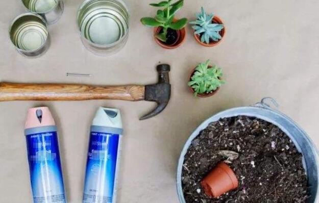 空奶粉罐种花方法,奶粉罐养花效果好吗