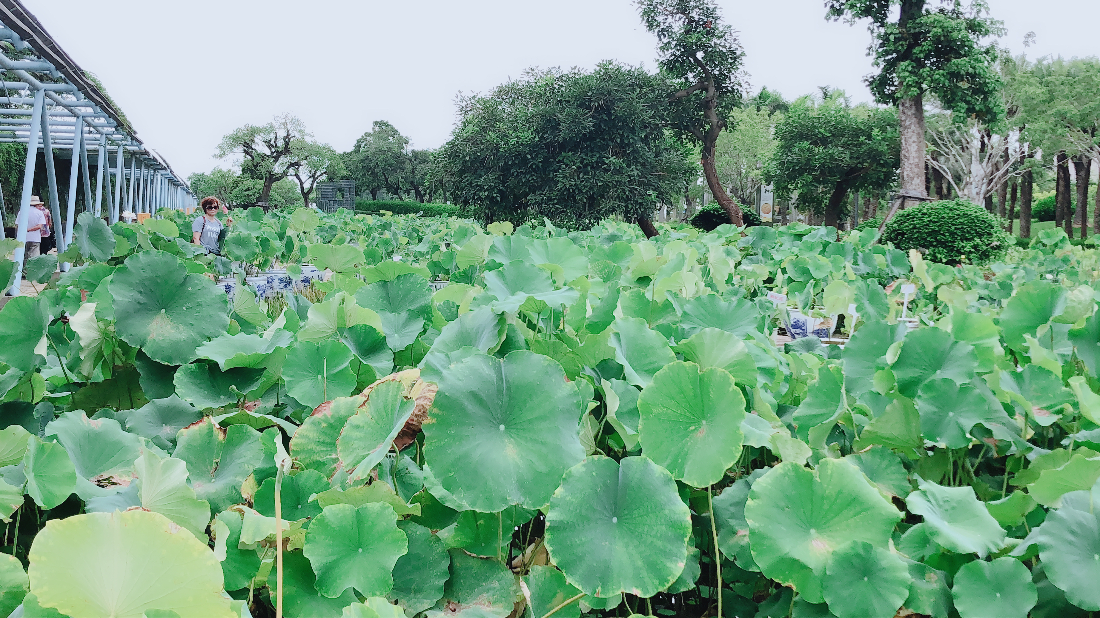 厦门园林水上博览园,厦门园博苑水上乐园