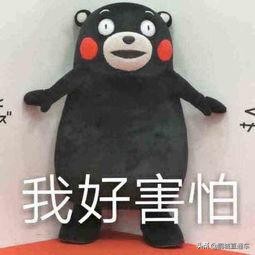 深圳福田公交图,福田快速公交线路图