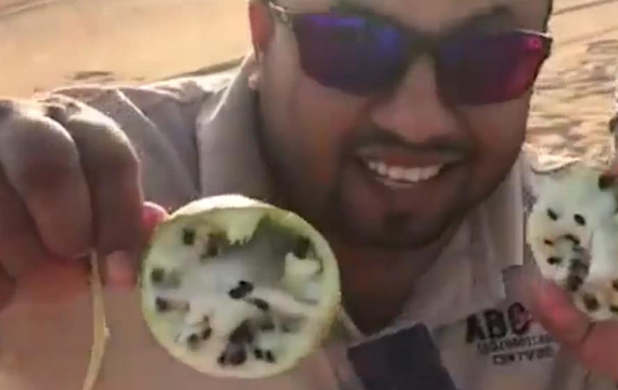 为什么在沙漠里遇到西瓜不能吃呢,沙漠里遍地是西瓜为何却无人敢吃