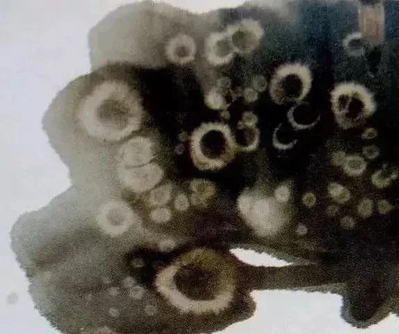 国画作品常识有哪些,国画创作的思路和方法