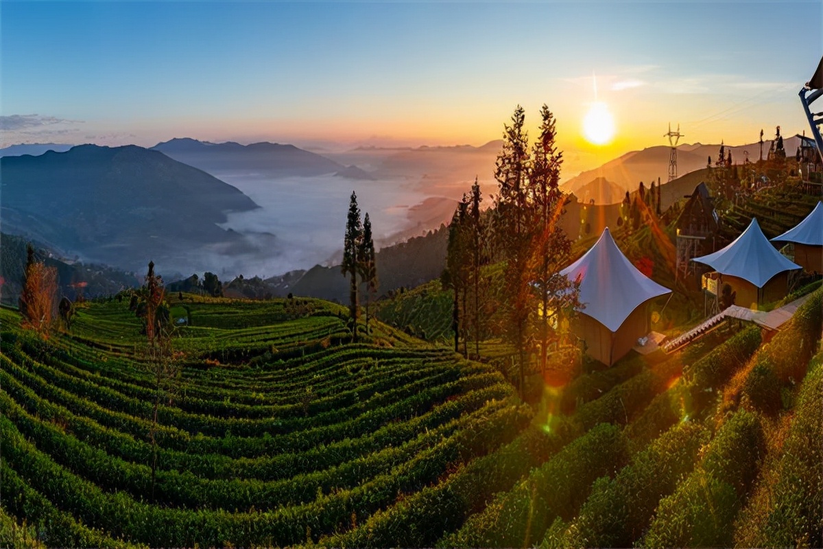 旅居的意思,旅居生活的正确打开方式