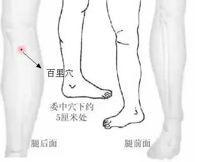 膝盖外侧骨痛按什么穴位,膝关节肩关节痛中医辨证