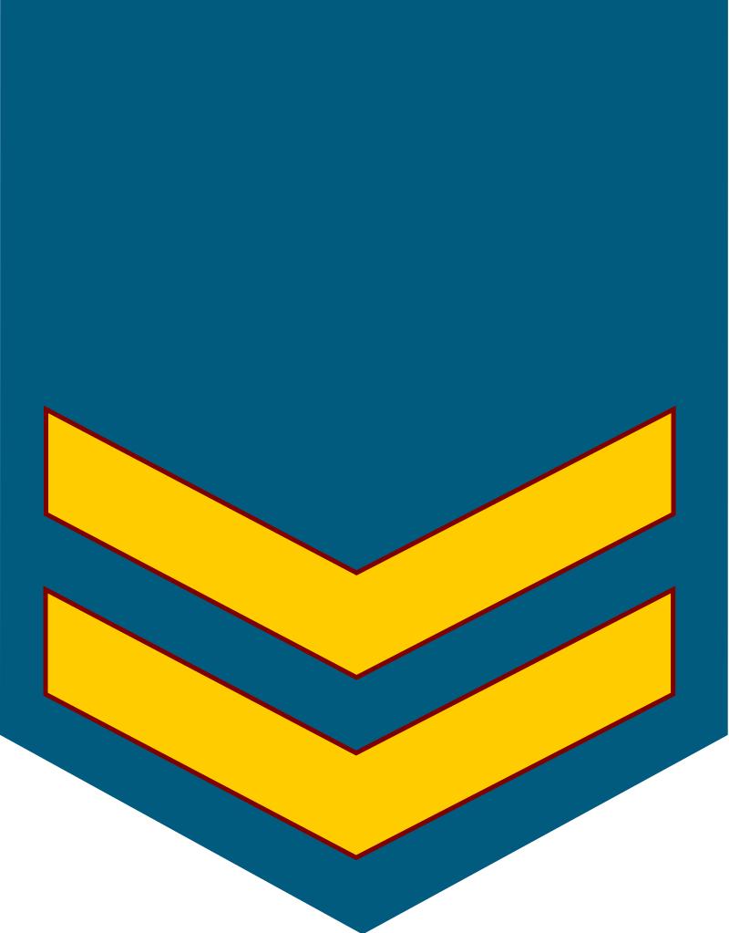 各国军衔标识韩国,马来西亚军衔等级对照表