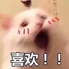 让李佳琦OMG的所有口红都在这里，究竟哪些值得买！