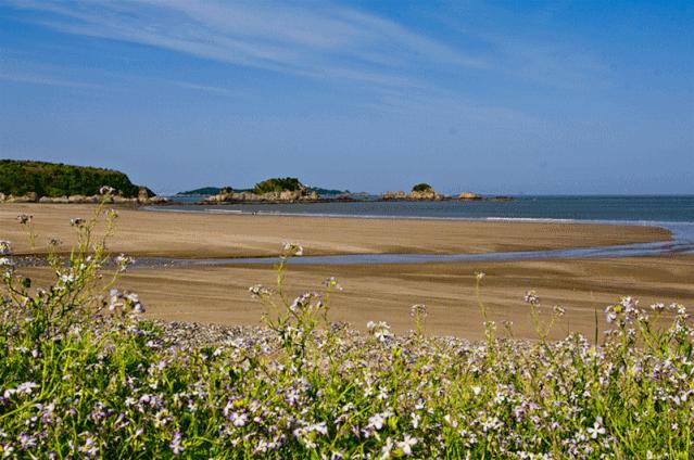 舟山副市长方维，5月23日在驴妈妈直播间带你“舟游列岛gou”！