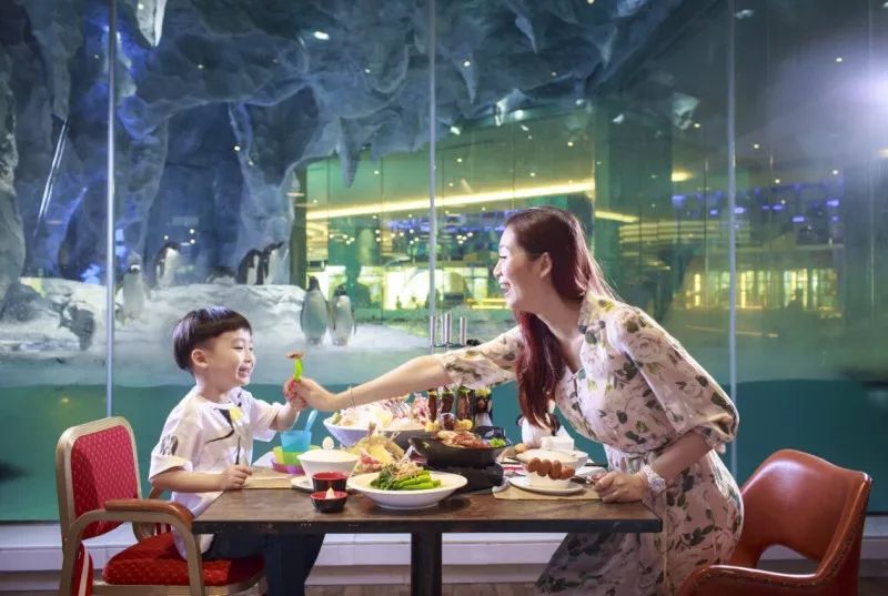 热卖爆款直降1000+，BAT大佬都在抢！双十一最好买的亲子产品是？