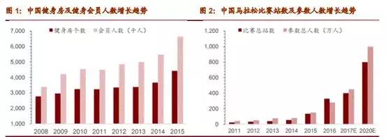 西王食品股票最新分析,西王食品股票为什么下跌