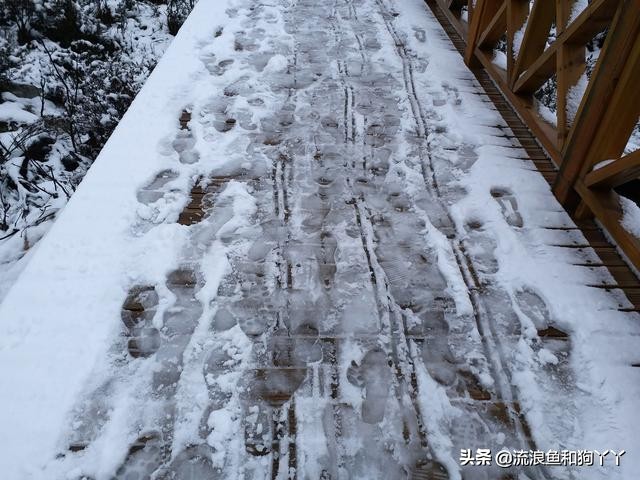 年保玉则现在开放了吗,年保玉则为啥被封