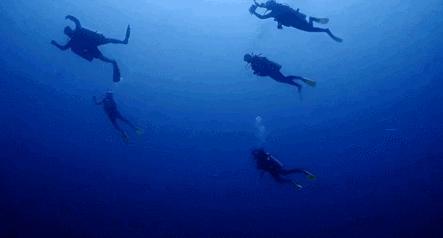 建议在哪里拿潜水证,如何免费学习潜水证