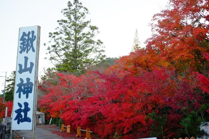 京都赏枫2022,京都赏枫必去景点有哪些好玩的