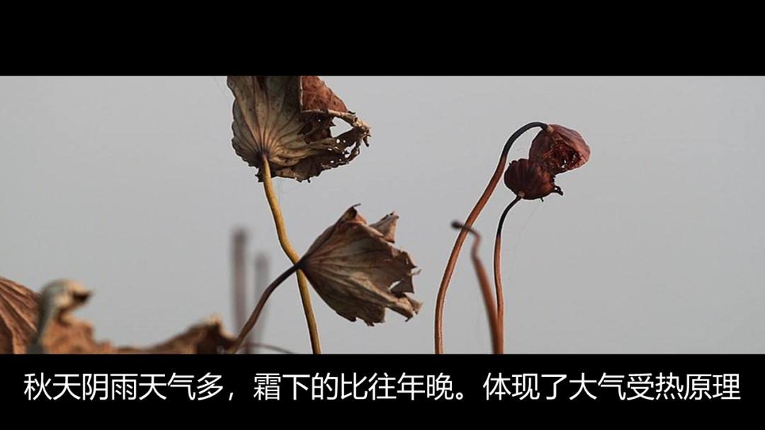 开学第一课地理,免费观看高中地理全套课程