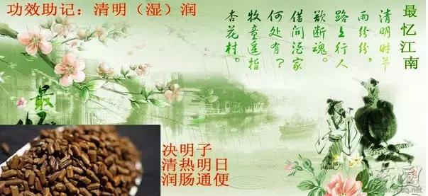 每天一味中药方剂,护肝最好的一味中药决明子