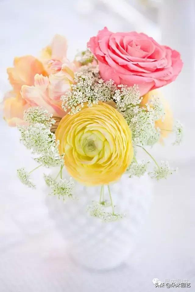 配角也很精彩小说,安妮女王的蕾丝花