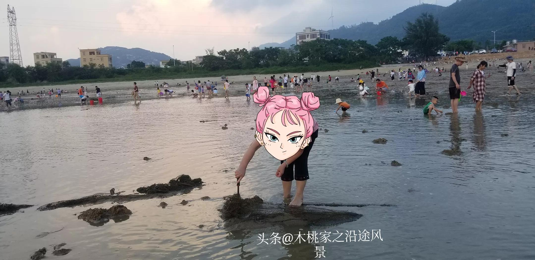 东平赶海沙滩,东平赶海最佳地方