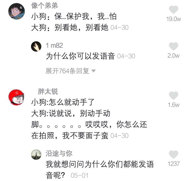 金毛遇到巨型泰迪,金毛被泰迪激怒