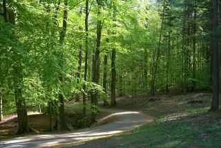 下一个男人也许会更好,下一个男人会更好