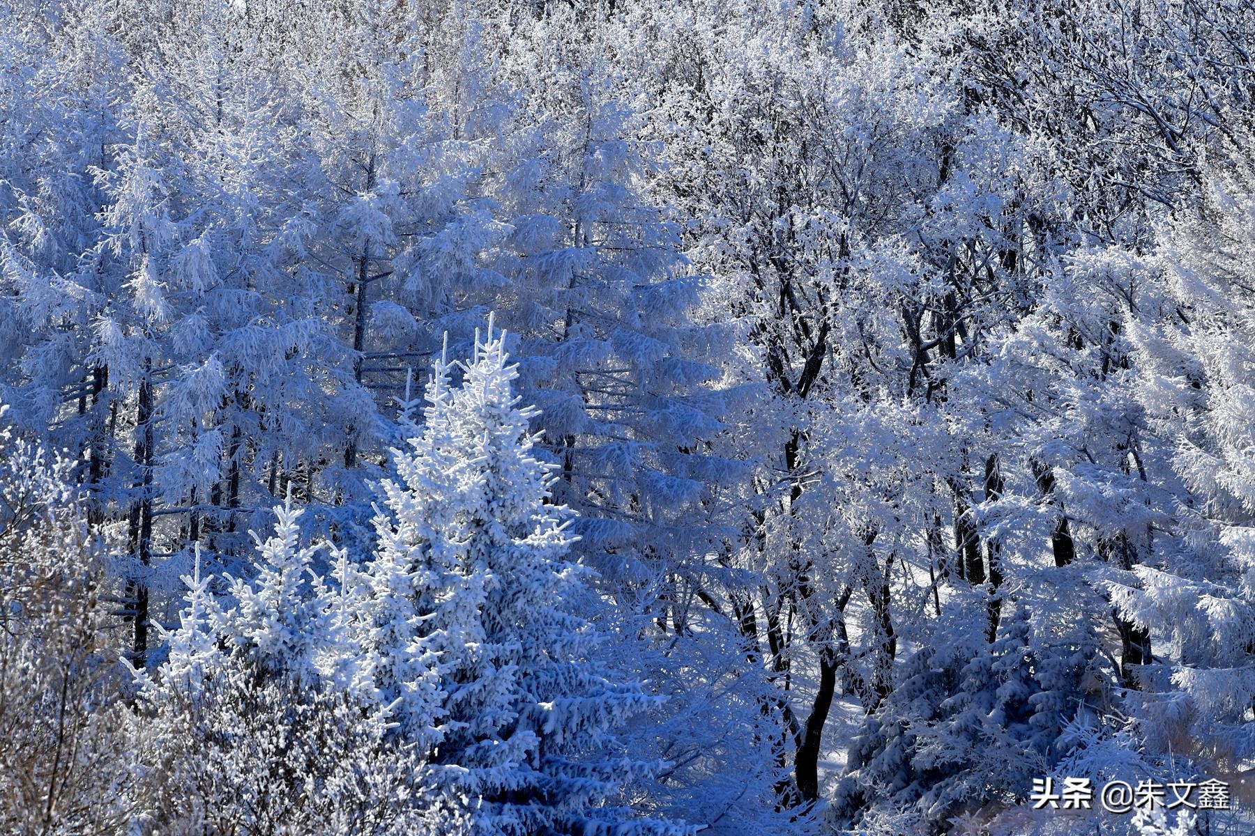 吉林柳河下雪,吉林省通化市柳河