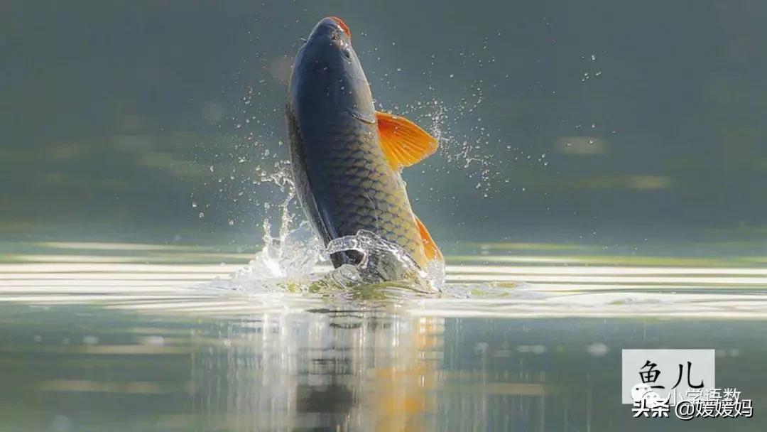 三年级下册语文第18课水墨画,三下语文18课童年的水墨画