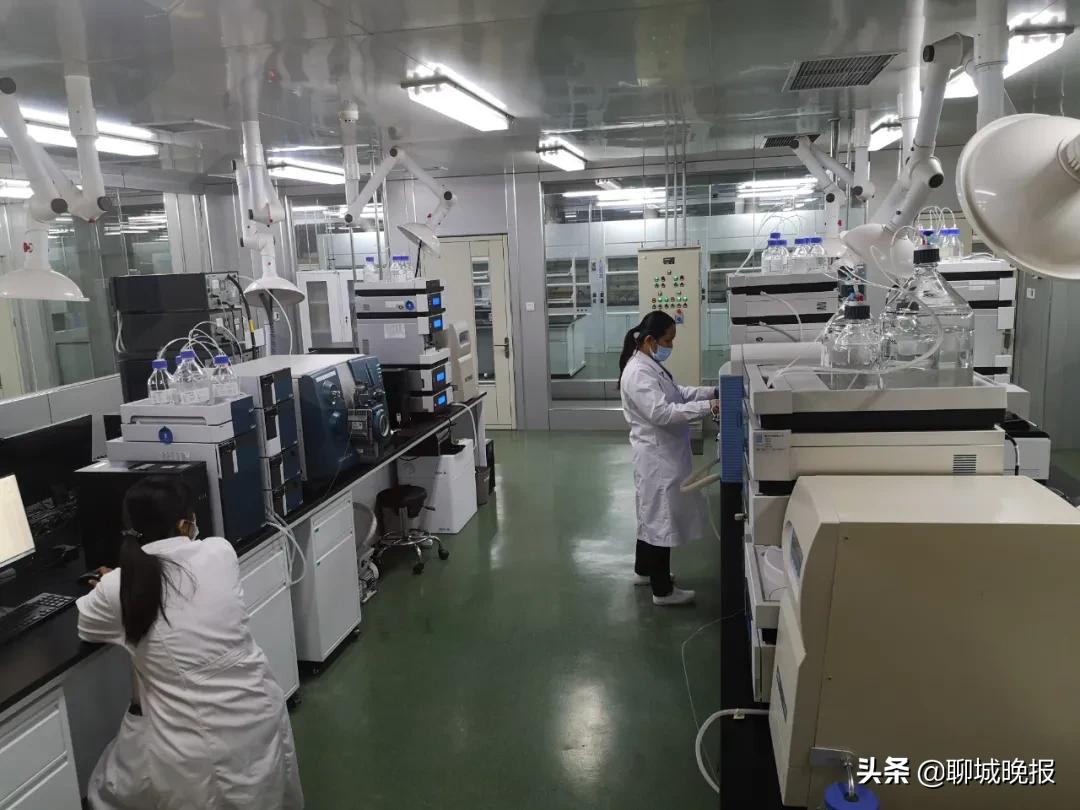 聊城：守正创新，干出万千气象