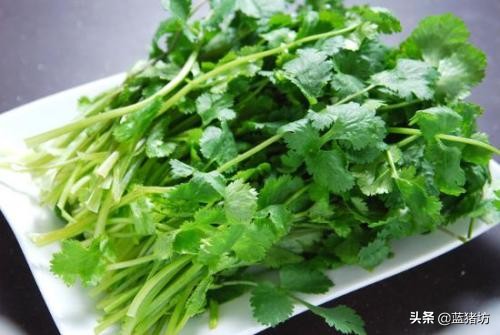 六个月宝宝除了吃米粉还能吃什么,六个月宝宝除了吃米粉还吃什么