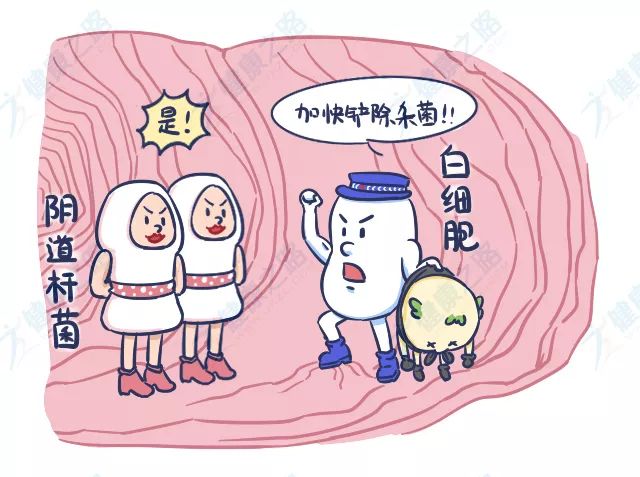 如何检查自己的白带,白带检查ph值偏高其他正常