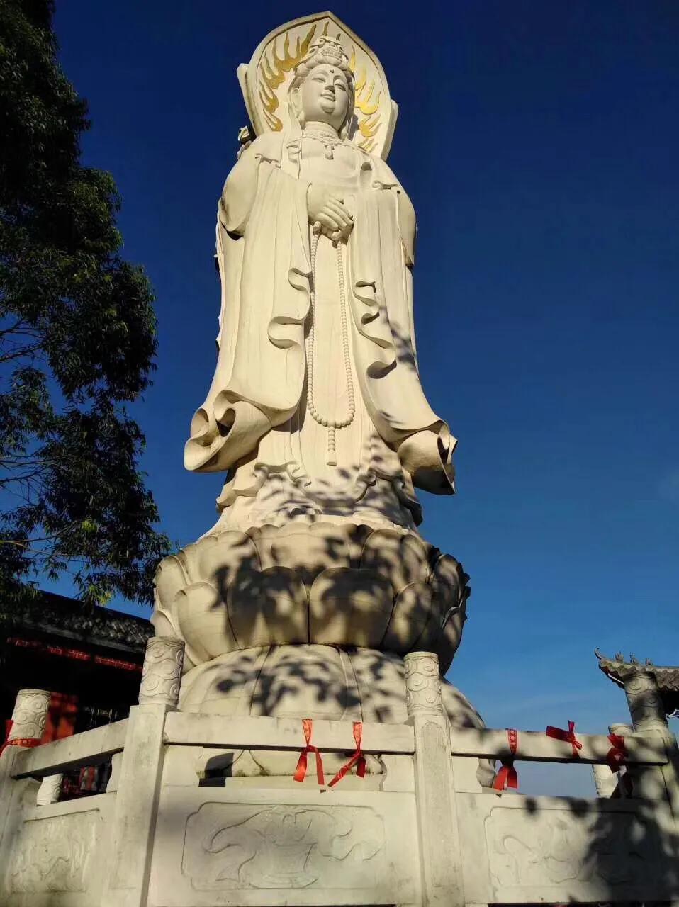 明一居士简介,明一居士完整视频