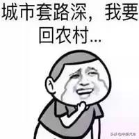 中国车企骗补都有哪些,中国车企最新处罚