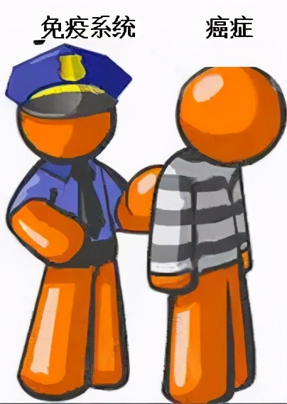 car-t疗法可以治疗哪些癌症,car-t癌症痊愈