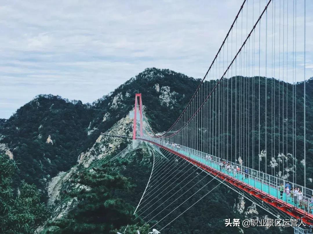 2019的旅游业会如何变化,24年旅游业的现状与前景
