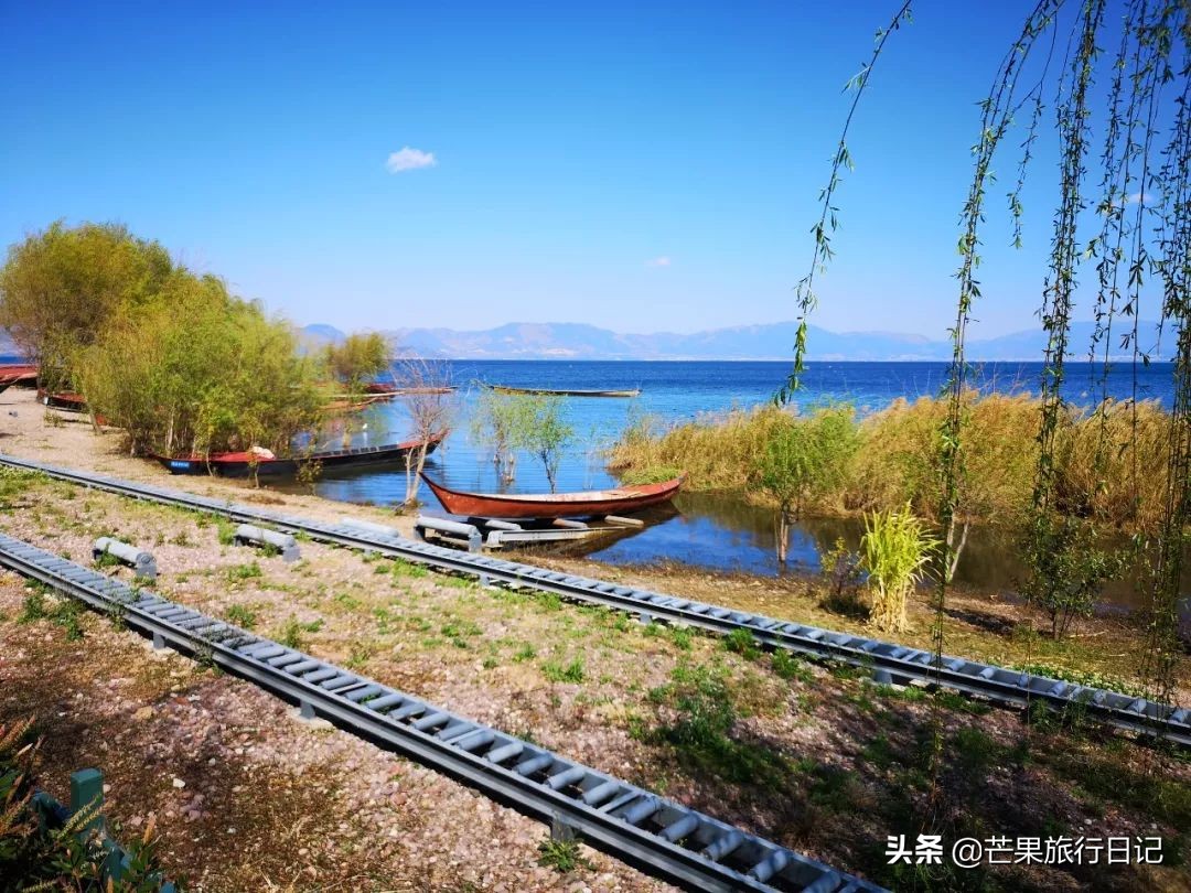 广州到云南5天旅游攻略图,广州去云南抚仙湖怎么去