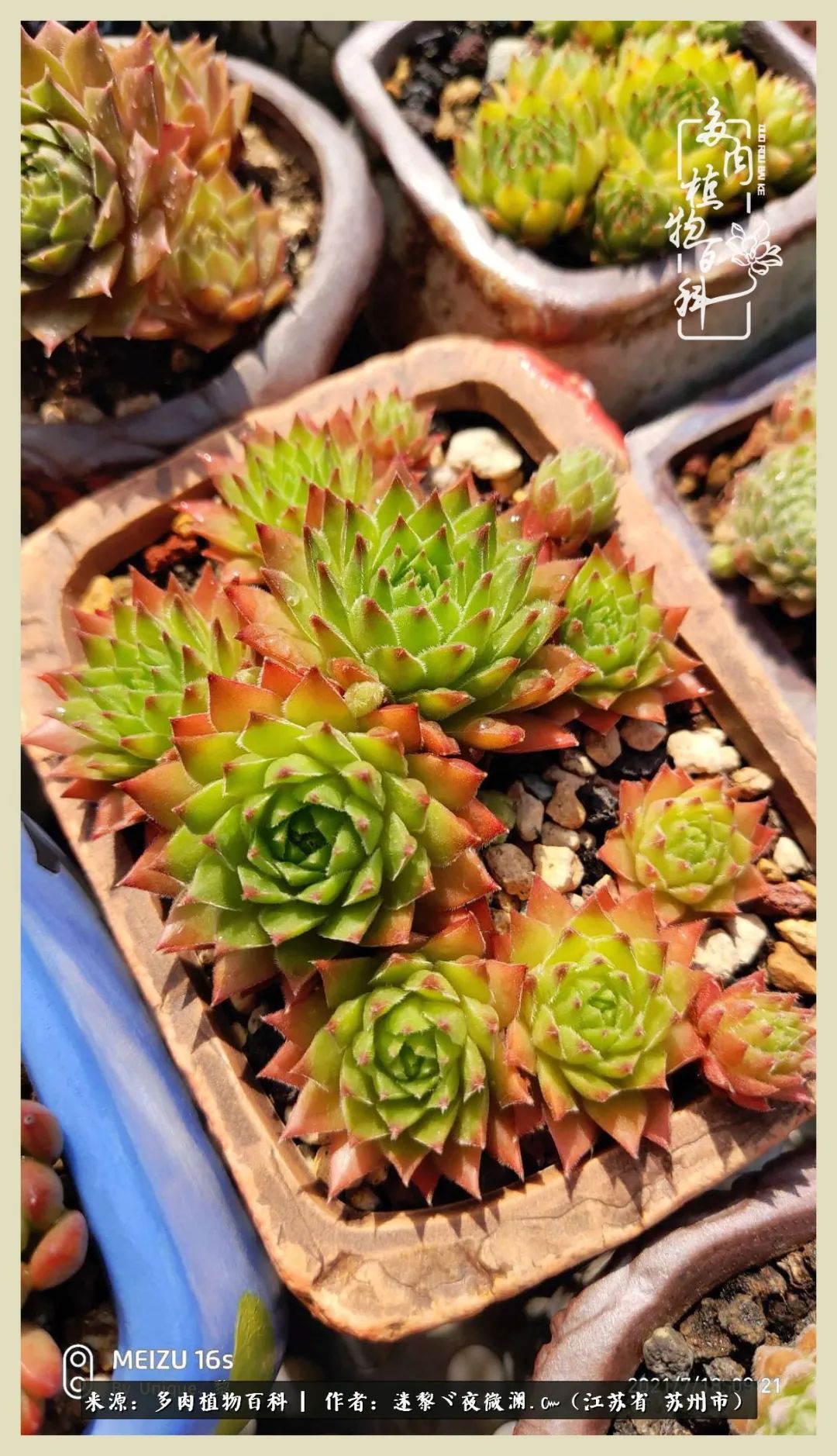 秋尽冬来岁月不居时节如流,岁月不居时节如流水