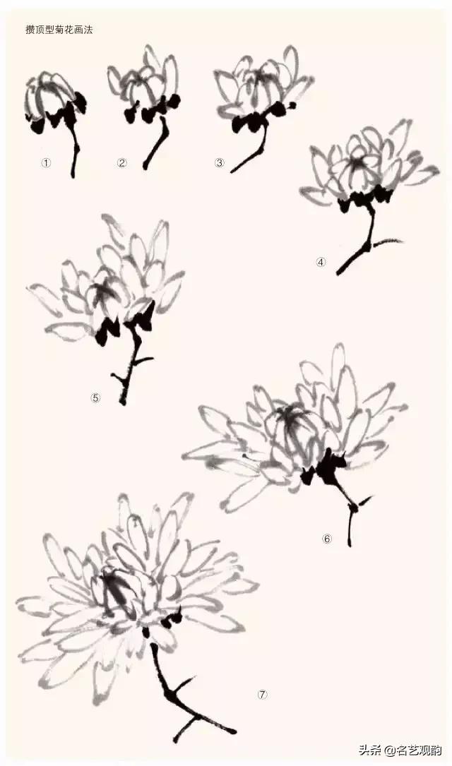 写意菊花小品国画大全,国画写意菊花和螃蟹
