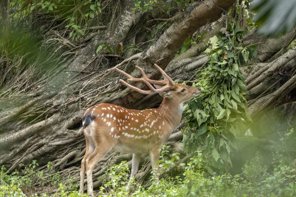 4个月宝宝逛北京动物园,武汉最好逛的动物园